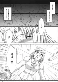 (C75) [H.B (B-RIVER)] Red Degeneration -DAY/4- (Fate/stay night)