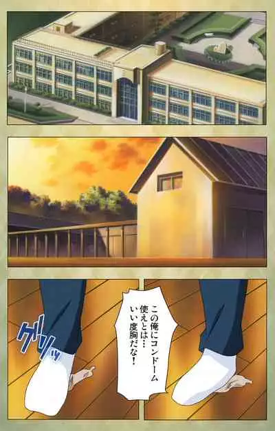 Gakuen Kanzenban