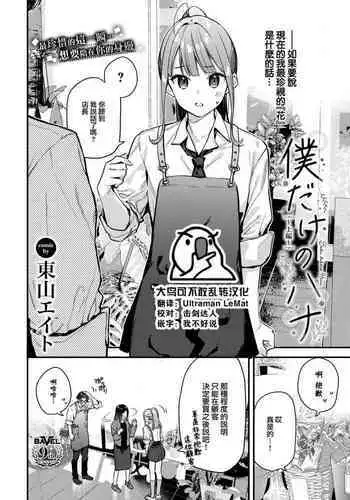エルフバチ