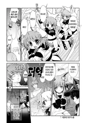 Nekokino to Ame no Machi