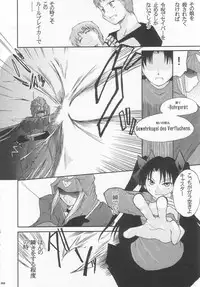 (C68) [Youtoujirushi (Arami Taito)] The desire of the truth (Fate/stay night)