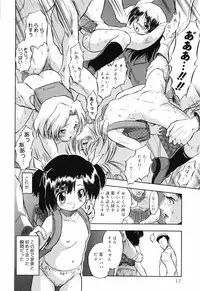 [Tomozawa Shou] Mitsuiro no Maihime