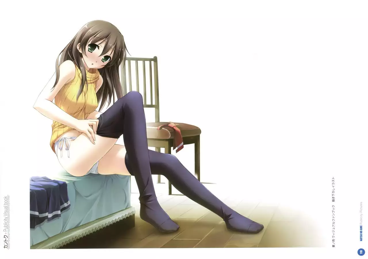 Kantoku Publicity Visual book