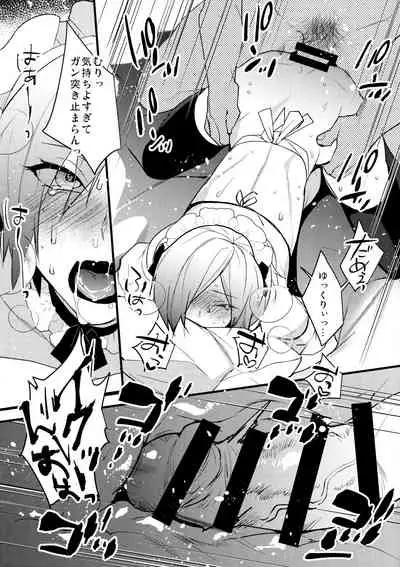 Dokidoki Mesu Ochi Shutchou go Houshi