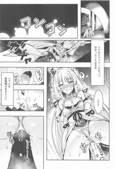 Nia-chan no Ecchi Hon