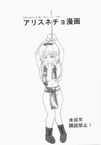 (C80) [Schwester (Shirau Inazaki)] Usa-usa Alice (Touhou Project)