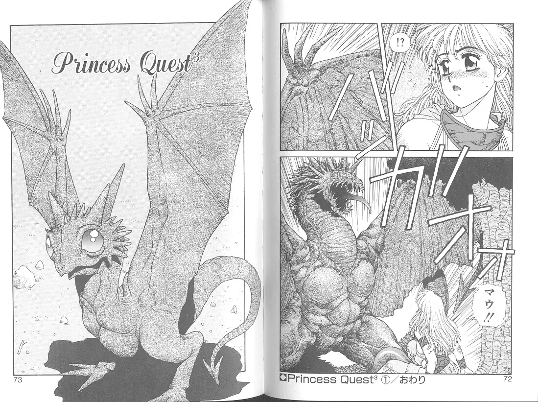 Princess Quest Saga