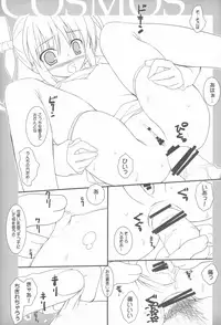 (C71) [Lili Marleen (Kinohara Hikaru)] COSMOS (Mahou Shoujo Lyrical Nanoha)