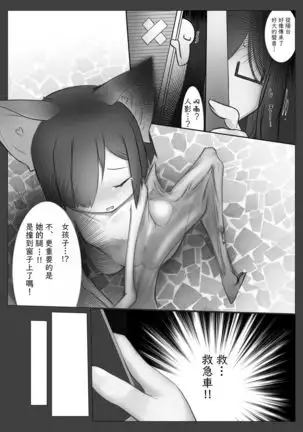 Kyuuhou Chiroptera