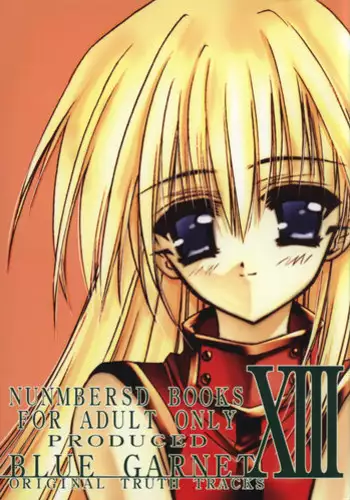 (C62) [BLUE GARNET (Serizawa Katsumi)] BLUE GARNET XIV SKY (SKYGUNNER)