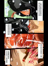[Bonjin-do] “Wonderful Life” ~Shufu to “Aiken” no Hisoyaka na Gogo~[chinese] [翠星石汉化]
