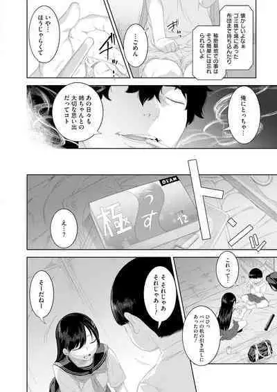Kinshinshou Bias