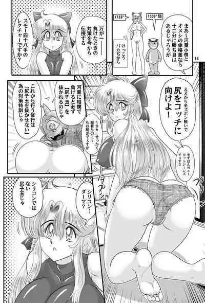 Fairy Saber VOL6