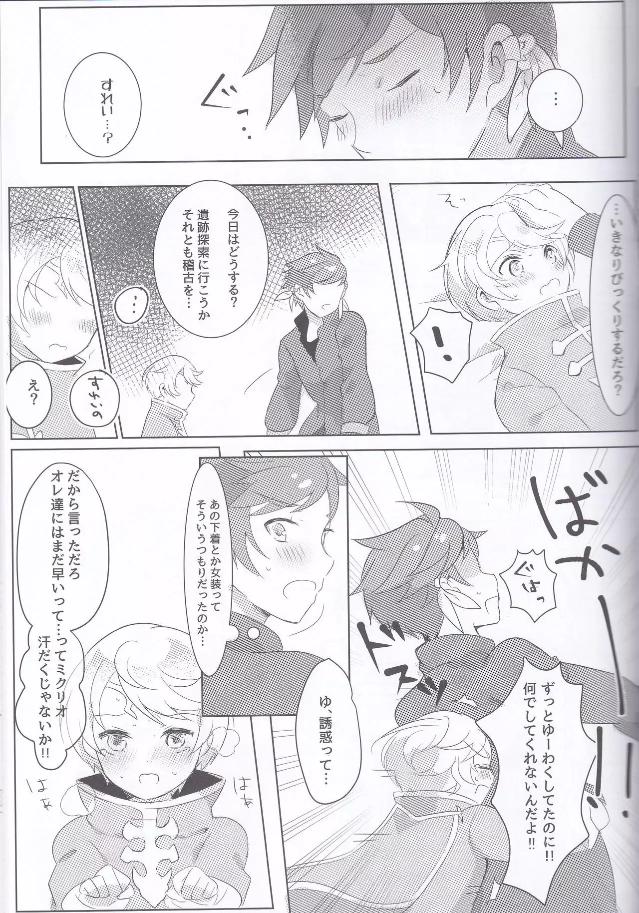 Hayazaki no Bougainvillea