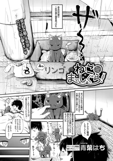 COMIC BAVEL 2017-03