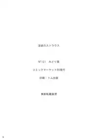 (C88) [NF121 (Midori Aoi)] Inyoku no Strauss (Super Robot Wars)