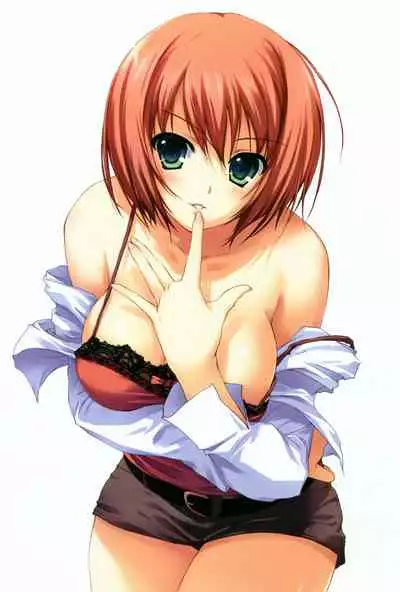 Tomose Shunsaku Jisen Illust Shuu