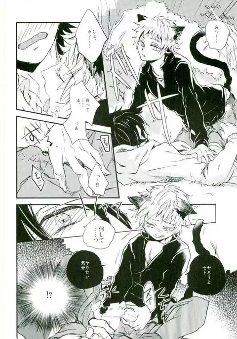 ウソツキネコ