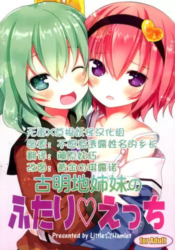 (C89) [Little Hamlet (Kiira)] Komeiji Shimai no Futari Ecchi (Touhou Project)
