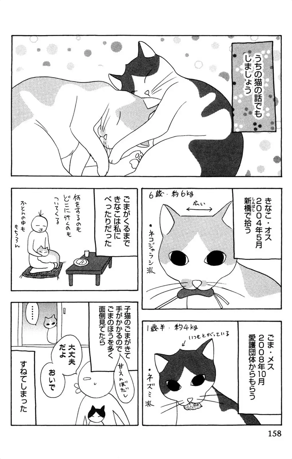 Oniichan to love Night