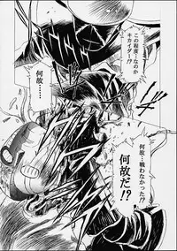 [Hen Rei Kai] The History Of Hen Rei Kai