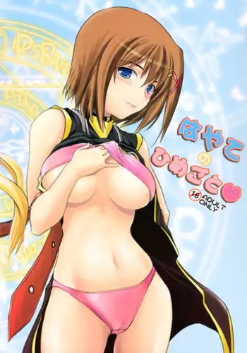 (C70) [SAZ (Onsoku Zekuu, soba, Soukurou)] Satou U10 (Mahou Shoujo Lyrical Nanoha)