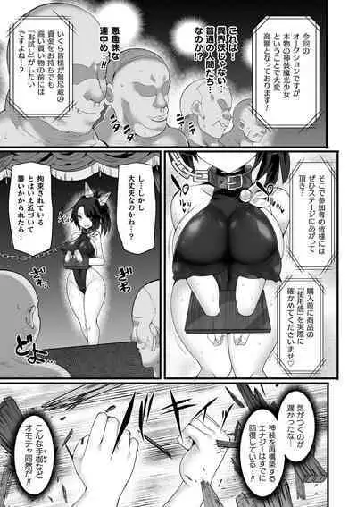 Divine Magical Girl THE COMIC