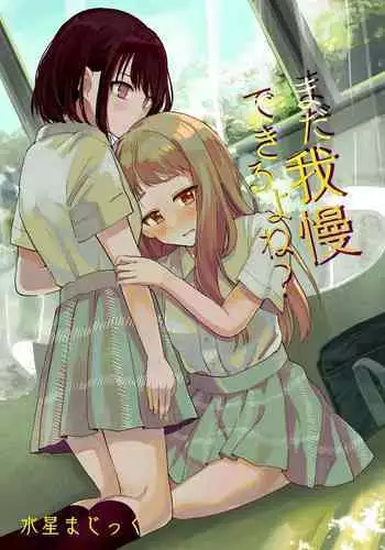 騙局