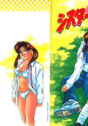 [Aizawa Sanae] Seiheki Hakusho