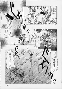 [APRICOT PIE (Miyake Hikaru)] Apricot Collection (CardCaptor Sakura)