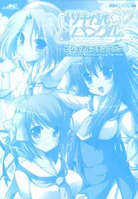 Tsunagaru Bangle - Visual Fan Book