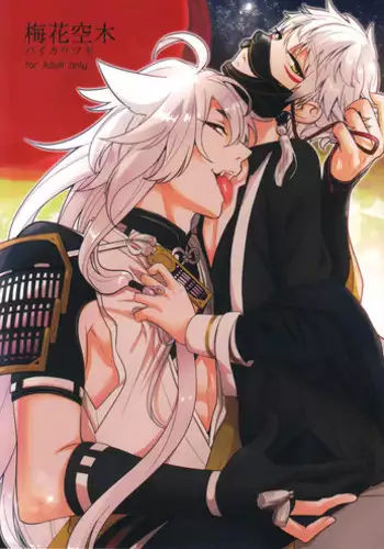 (SUPER24) [SWARO (Mokota)] Kogitsune Mikka no Shoya Monogatari (Touken Ranbu)