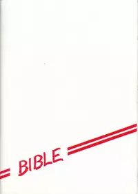 [Bible (Ogata Satomi)] Kyouakuteki Shidou Vol. 11 Junbigou (Tenchi Muyo!)