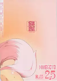 (C82) [Mochi-ya (Karochii)] Himegoto 2.5 (Touhou Project)