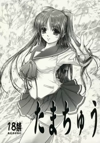 (C71) [Bottomress Pit (Bonzakashi)] Tama Kan RETAKE-ban (ToHeart2)
