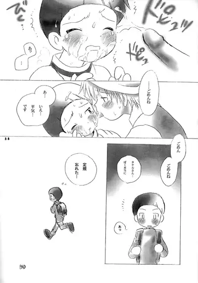 [Kuru Guru DNA (Hoshiai Hilo)] Seijitsu Na Hon (Digimon Adventure 02)