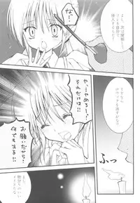 (C72) [Aberyu (Abe Ryuu)] PET GIRLS Aigan Shoujo (Hayate no Gotoku!)