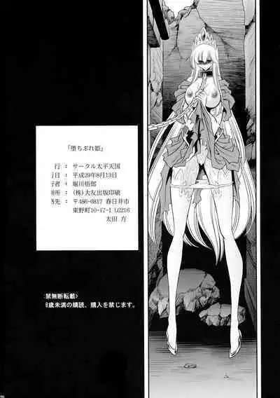Ochibure Hime Gekan | 墮落的公主 下卷