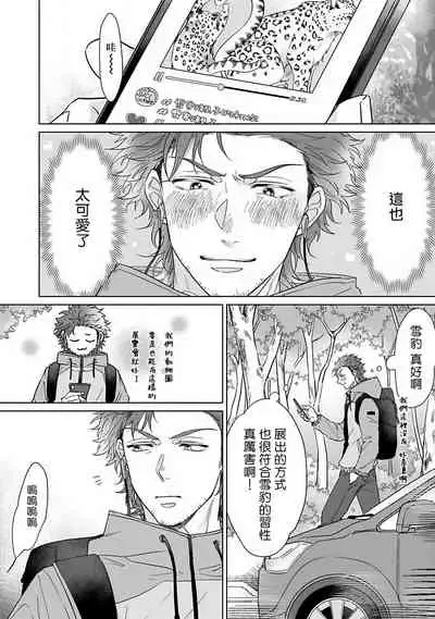 Fukurou no Koiwazurai | 猫头鹰的相思病