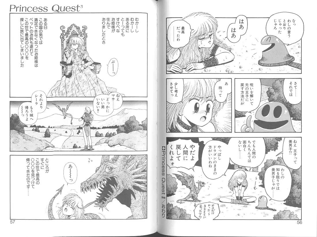 Princess Quest Saga