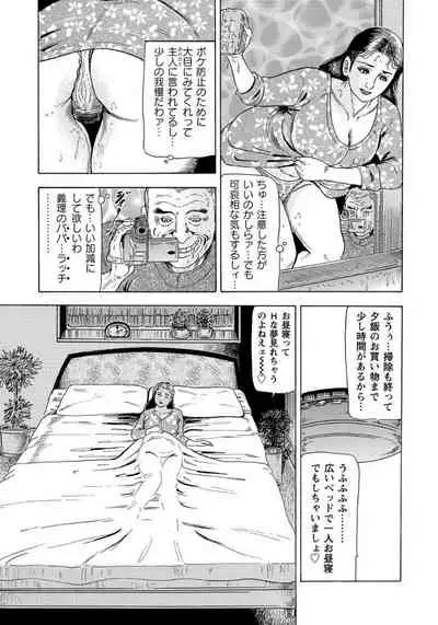 [Anthology] Harenchi Oku-sama Suteki ni Nuremidare Nikki [Digital]