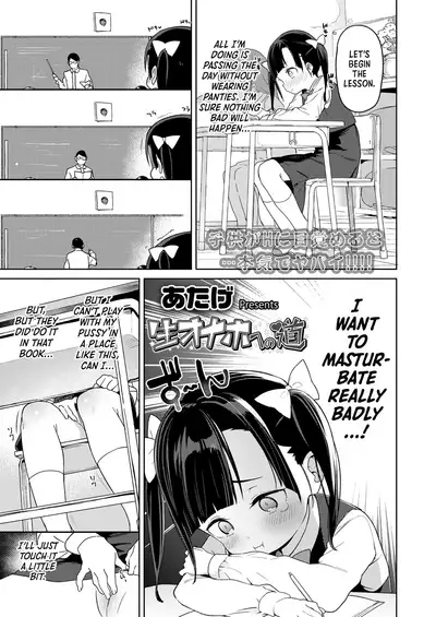 Nama Onaho e no Michi | The Road to a Living Onahole