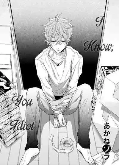 Baka da ne, Shitteru yo. | I Know, You Idiot