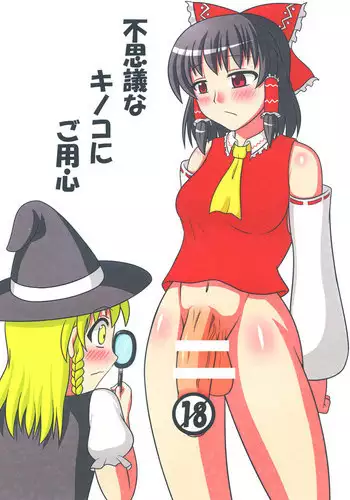[Oreichigo (Yukino F Iwasuke)] Hijirin Ijirin (Touhou Project) [Digital]