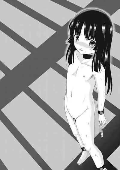 Houkago wa Kantsuushiki