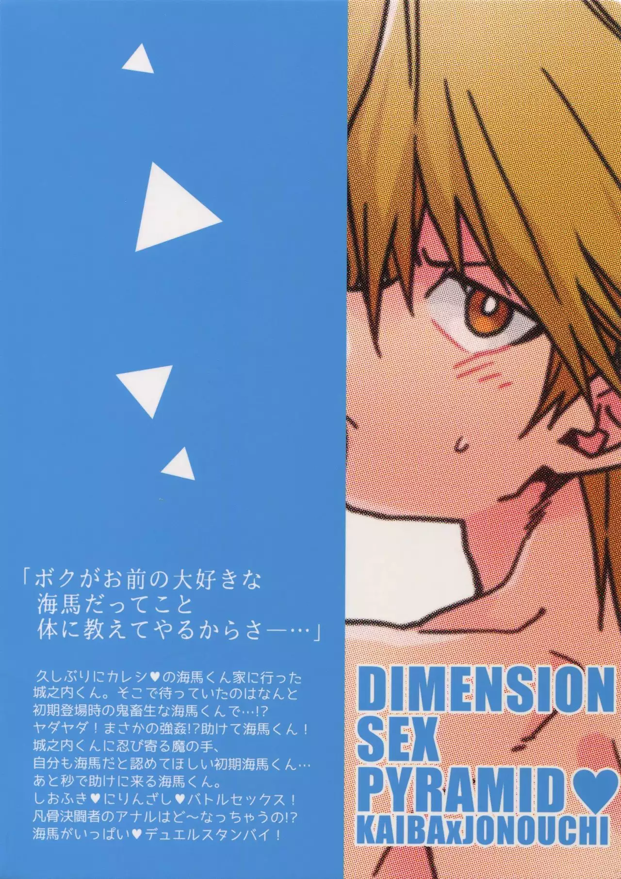 Dimension Sex Pyramid