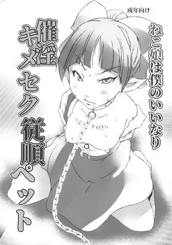 (C82) [Suitekiya (Suitekiya Yuumin)] Kimeseku Smile (Smile Precure!)