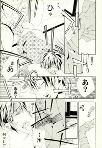 (SUPER25) [Murashiki (NEEMA)] Dog new Tricks. (Bungou Stray Dogs)