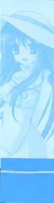 Tsunagaru Bangle - Visual Fan Book