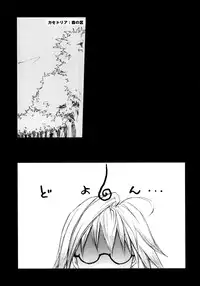 (C72) [Akai Tsubasa (Tachibana Chata)] LOVE FOOL.05 (Fantasy Earth ZERO)